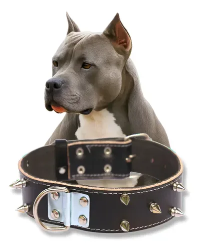 Coleira De Couro Com Pontaletes Para Cachorros Grandes
