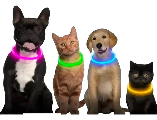Coleira Led Luz Cachorro Gato Pet Regulavel K9 Passeio Shop