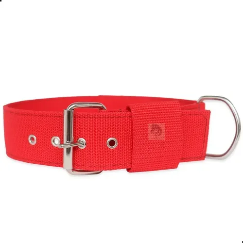 Coleira Resistente Em Nylon Reforçado Para Cachorro