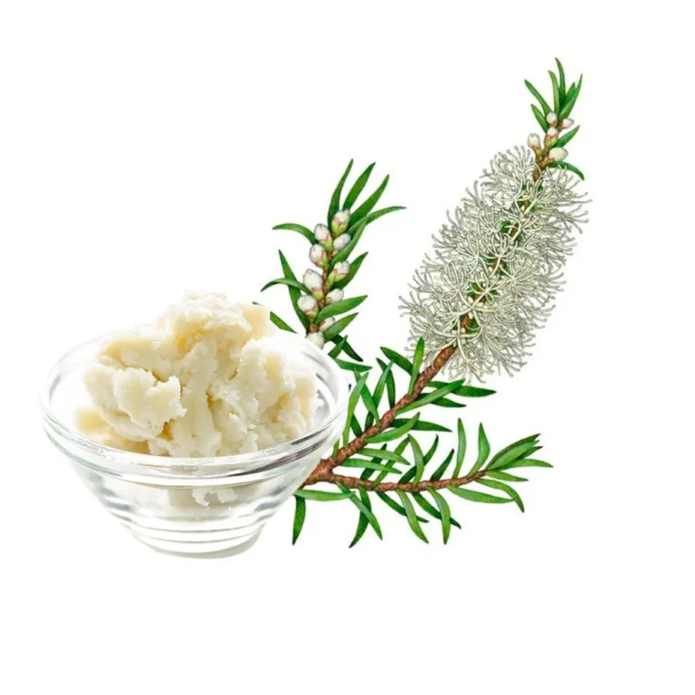 Manteiga Vegetal de Melaleuca: O Secretício para Pele Saudável