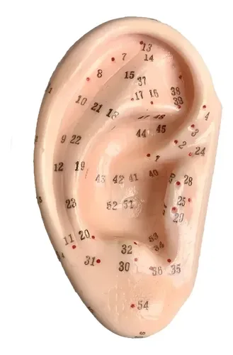 Orelha Treino C/ Pontos Auricoloterapia Acupuntura Auricular